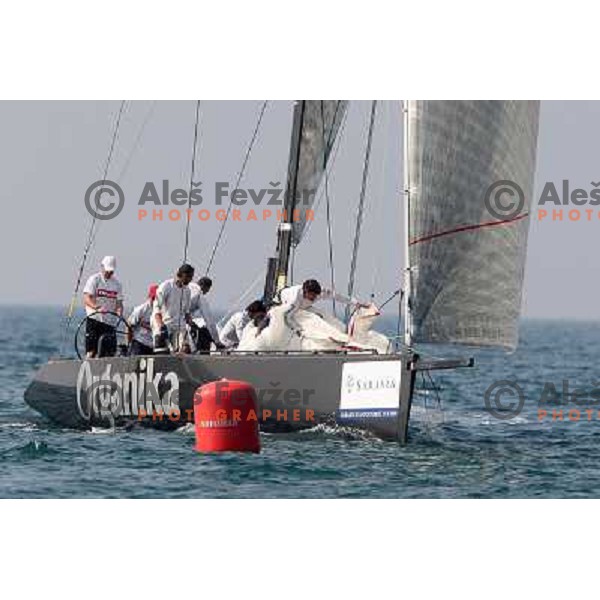 Team Organika and skipper Karol Jablonski and team Sea Dubai during first day of match racing at Bank Sarasin RC 44 Portoroz Cup, Slovenia 29.9.2009 