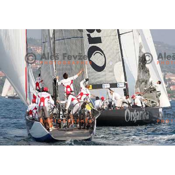 Team Organika and skipper Karol Jablonski and team Katusha during first day of match racing at Bank Sarasin RC 44 Portoroz Cup, Slovenia 29.9.2009 