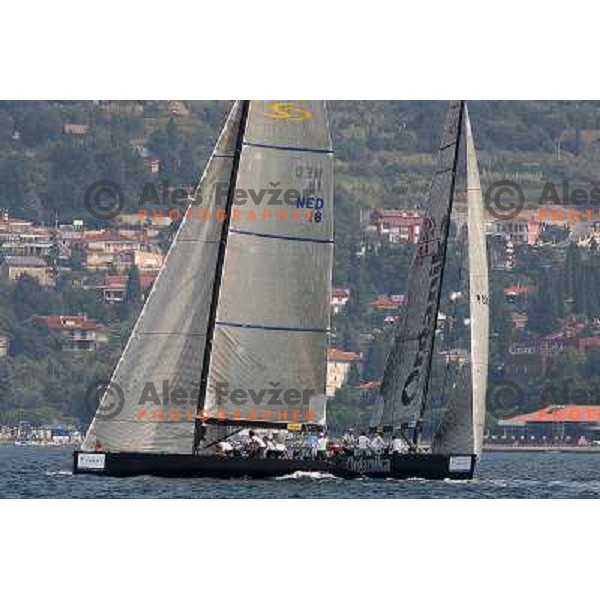 Team No way back and Team Organika during match racing finals of Bank Sarasin RC 44 Portoroz Open in Portoroz, Slovenia 30.9.2009 