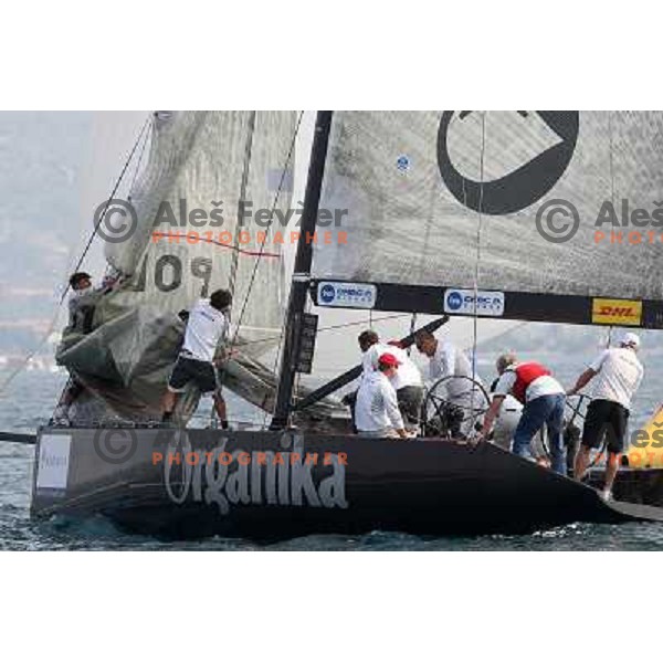 Team Organika during match racing finals of Bank Sarasin RC 44 Portoroz Open in Portoroz, Slovenia 30.9.2009 