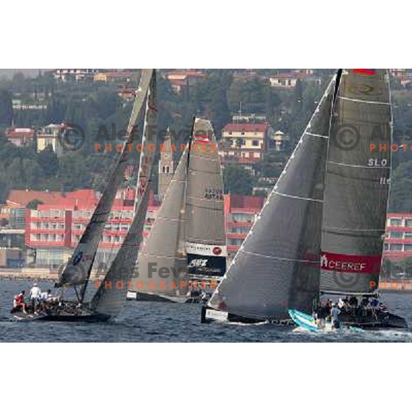 Team Ceeref during match racing finals of Bank Sarasin RC 44 Portoroz Open in Portoroz, Slovenia 30.9.2009 