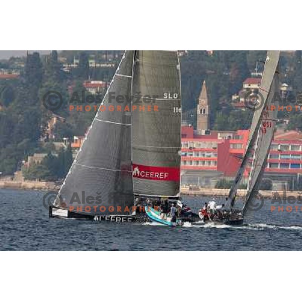 Team Ceeref during match racing finals of Bank Sarasin RC 44 Portoroz Open in Portoroz, Slovenia 30.9.2009 