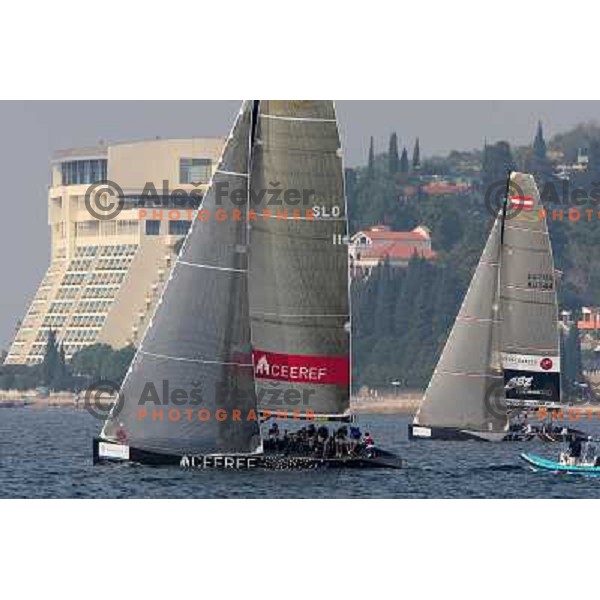 Team Ceeref during match racing finals of Bank Sarasin RC 44 Portoroz Open in Portoroz, Slovenia 30.9.2009 