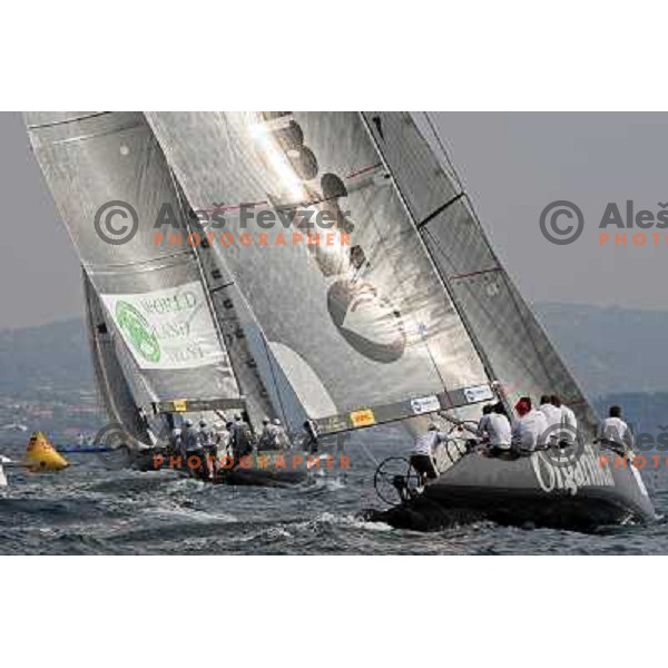 first day of fleet racing at Bank Sarasin RC 44 Portoroz Open in Portoroz, Slovenia 1.10.2009 