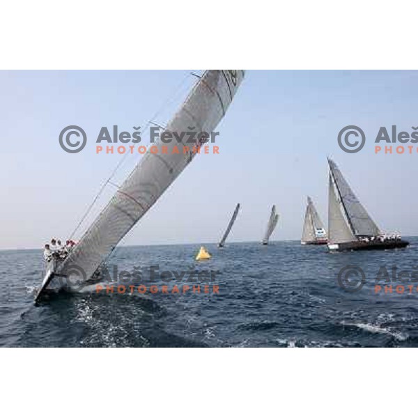 first day of fleet racing at Bank Sarasin RC 44 Portoroz Open in Portoroz, Slovenia 1.10.2009 