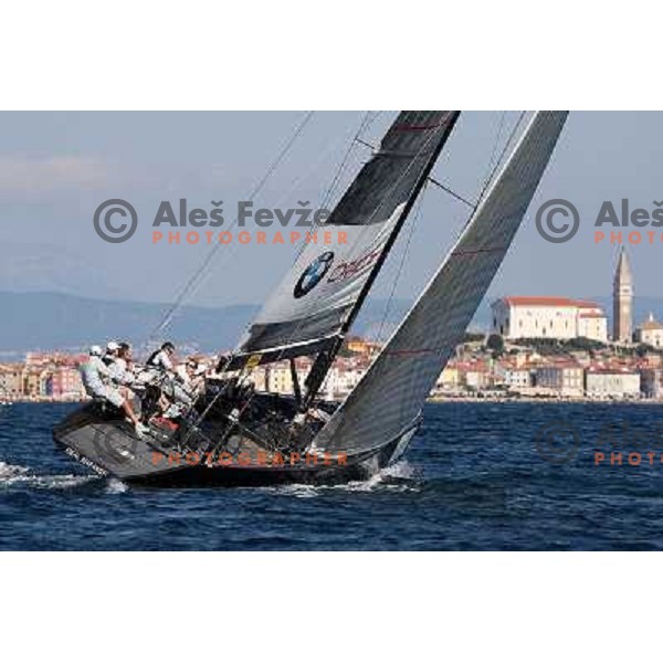 Team BMW Oracle during last day of sailing races at Bank Sarasin RC 44 Porotorz Cup 3.10.2009 