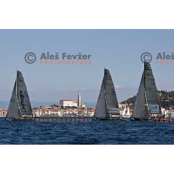 last day of sailing races at Bank Sarasin RC 44 Porotorz Cup 3.10.2009 