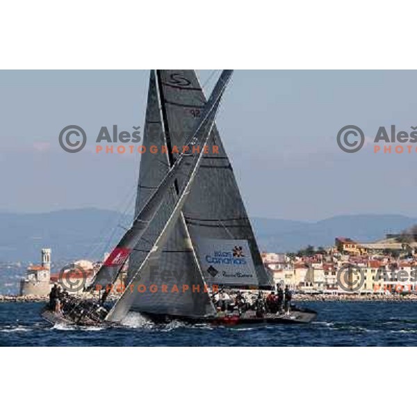 Team Puerto Calero Islas Canarias , team Ceeref during last day of sailing races at Bank Sarasin RC 44 Porotorz Cup 3.10.2009 