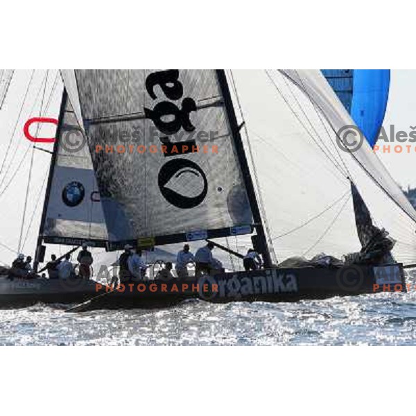 Team Organika during last day of sailing races at Bank Sarasin RC 44 Porotorz Cup 3.10.2009 
