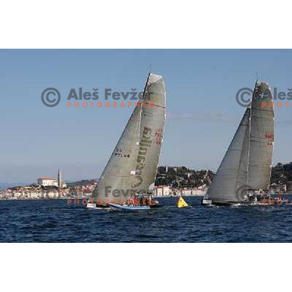 Team Organika , team Artemis during last day of sailing races at Bank Sarasin RC 44 Porotorz Cup 3.10.2009 