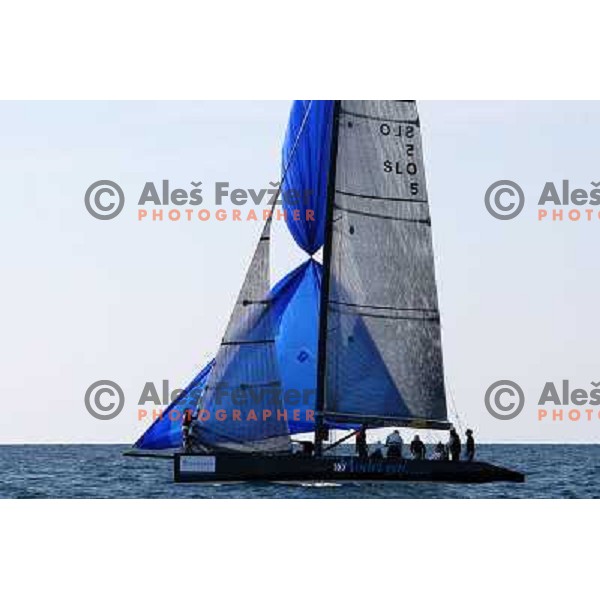 Ekipa Modri gaj during last day of sailing races at Bank Sarasin RC 44 Porotorz Cup 3.10.2009 