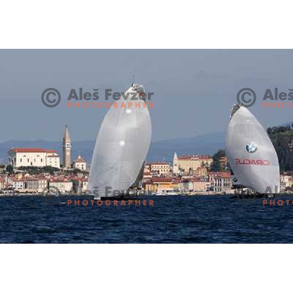 last day of sailing races at Bank Sarasin RC 44 Porotorz Cup 3.10.2009 