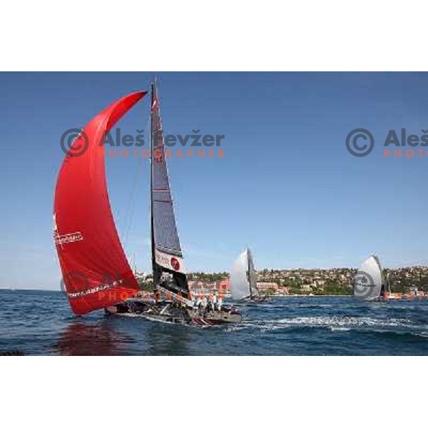  Austria during Bank Sarasin RC 44 Porotorz Cup DHL navigation fleet race Portoroz- Izola- Portoroz 2.10.2009 