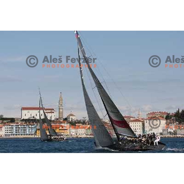 Ceeref during Bank Sarasin RC 44 Porotorz Cup DHL navigation fleet race Portoroz- Izola- Portoroz 2.10.2009 