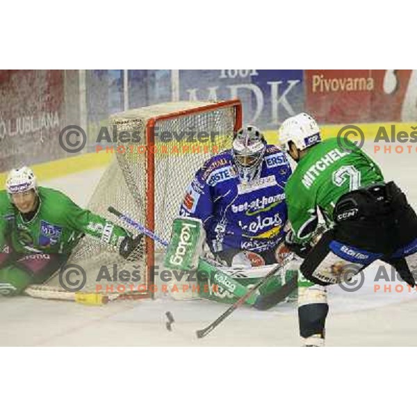 Egon Muric and Kevin Mitchell scoring first goal during ice-hockey match Tilia Olimpija- VSV, played in round 11 of Ebel league in Hala Tivoli, Ljubljana 9.10.2009. Tilia Olimpija won 3:0 