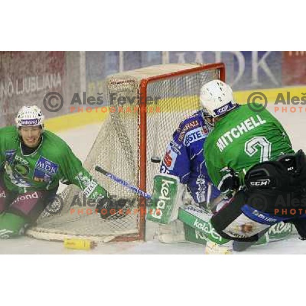 Egon Muric and Kevin Mitchell scoring first goal during ice-hockey match Tilia Olimpija- VSV, played in round 11 of Ebel league in Hala Tivoli, Ljubljana 9.10.2009. Tilia Olimpija won 3:0 