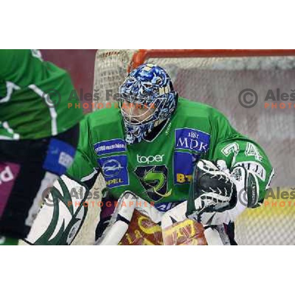 Norm Maracle during ice-hockey match Tilia Olimpija- VSV, played in round 11 of Ebel league in Hala Tivoli, Ljubljana 9.10.2009. Tilia Olimpija won 3:0 