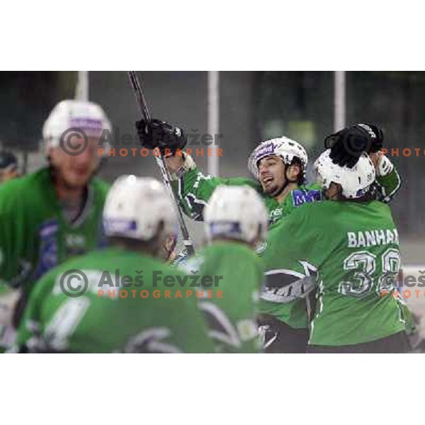 Brendan Yarema celebrates goal during ice-hockey match Tilia Olimpija- VSV, played in round 11 of Ebel league in Hala Tivoli, Ljubljana 9.10.2009. Tilia Olimpija won 3:0 