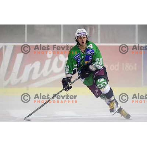 Frank Banham during ice-hockey match Tilia Olimpija- VSV, played in round 11 of Ebel league in Hala Tivoli, Ljubljana 9.10.2009. Tilia Olimpija won 3:0 