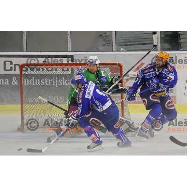 Kevin Mitchell celebrate goal during ice-hockey match Tilia Olimpija- VSV, played in round 11 of Ebel league in Hala Tivoli, Ljubljana 9.10.2009. Tilia Olimpija won 3:0 