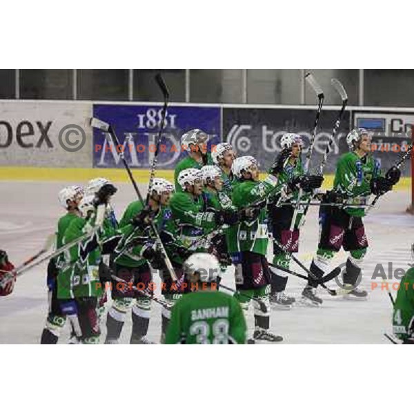 Brothers Golicic celebrate victory during ice-hockey match Tilia Olimpija- VSV, played in round 11 of Ebel league in Hala Tivoli, Ljubljana 9.10.2009. Tilia Olimpija won 3:0 