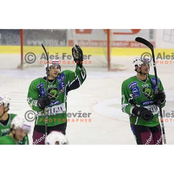 Brothers Golicic celebrate victory during ice-hockey match Tilia Olimpija- VSV, played in round 11 of Ebel league in Hala Tivoli, Ljubljana 9.10.2009. Tilia Olimpija won 3:0 