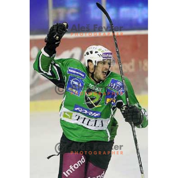 Jurij Golicic celebrates goal during ice-hockey match Tilia Olimpija- VSV, played in round 11 of Ebel league in Hala Tivoli, Ljubljana 9.10.2009. Tilia Olimpija won 3:0 