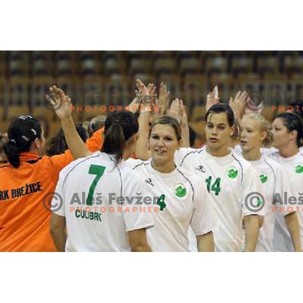 Neli Irman during handball match RK Olimpija- RK Brezice in round 4 of DP, played in Hala Tivoli, Ljubljana 10.10.2009 