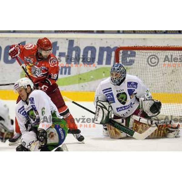 Norm Maracle at ice-hockey match Acroni Jesenice- Tilia Olimpija in round 14 of Ebel league, played in Podmezakla Hall, Jesenice 16.10.2009. Acroni Jesenice won 7:5 