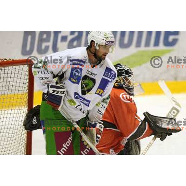 Brigley at ice-hockey match Acroni Jesenice- Tilia Olimpija in round 14 of Ebel league, played in Podmezakla Hall, Jesenice 16.10.2009. Acroni Jesenice won 7:5 