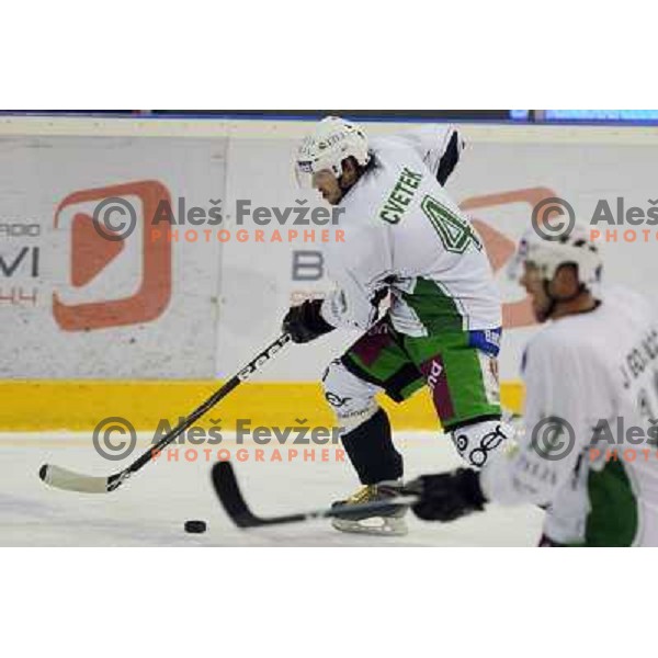  at ice-hockey match Acroni Jesenice- Tilia Olimpija in round 14 of Ebel league, played in Podmezakla Hall, Jesenice 16.10.2009. Acroni Jesenice won 7:5 
