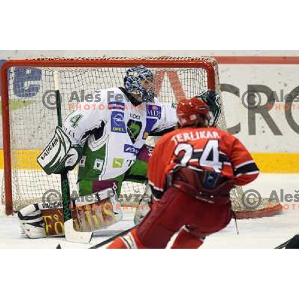 Norm Maracle at ice-hockey match Acroni Jesenice- Tilia Olimpija in round 14 of Ebel league, played in Podmezakla Hall, Jesenice 16.10.2009. Acroni Jesenice won 7:5 