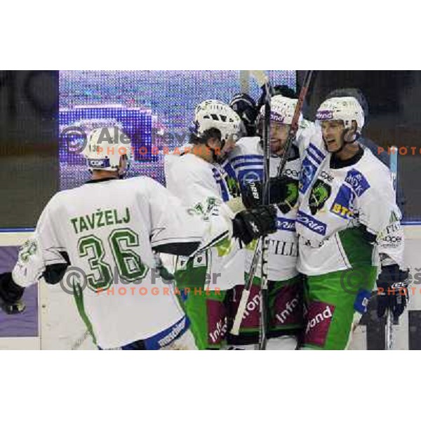Tavzelj, Yarema at ice-hockey match Acroni Jesenice- Tilia Olimpija in round 14 of Ebel league, played in Podmezakla Hall, Jesenice 16.10.2009. Acroni Jesenice won 7:5 