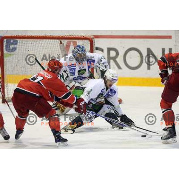Makrov, Maracle,Cvetek at ice-hockey match Acroni Jesenice- Tilia Olimpija in round 14 of Ebel league, played in Podmezakla Hall, Jesenice 16.10.2009. Acroni Jesenice won 7:5 