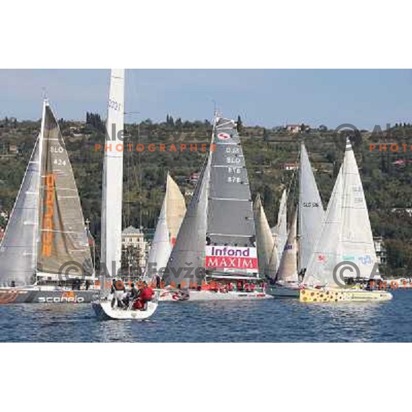 team Maxim Magazin in action during season closing regatta Portoroz-Piran-Savudrija in the final of Slovenian Cup in Portoroz 17.10.2009. Maxim Magazin won the regatta and overall standings 