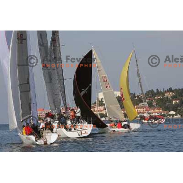 team Maxim Magazin in action during season closing regatta Portoroz-Piran-Savudrija in the final of Slovenian Cup in Portoroz 17.10.2009. Maxim Magazin won the regatta and overall standings 