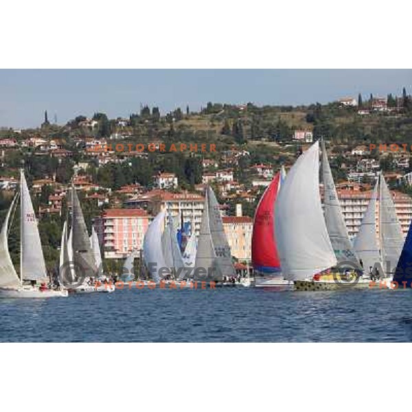action during season closing regatta Portoroz-Piran-Savudrija in the final of Slovenian Cup in Portoroz 17.10.2009. Maxim Magazin won the regatta and overall standings 