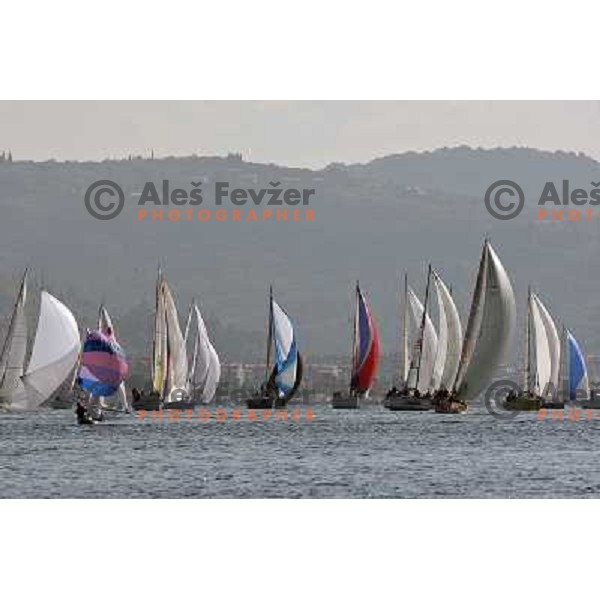 action during season closing regatta Portoroz-Piran-Savudrija in the final of Slovenian Cup in Portoroz 17.10.2009. Maxim Magazin won the regatta and overall standings 
