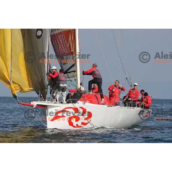 team Maxim Magazin in action during season closing regatta Portoroz-Piran-Savudrija in the final of Slovenian Cup in Portoroz 17.10.2009. Maxim Magazin won the regatta and overall standings 