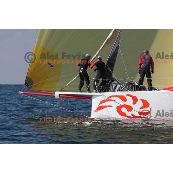 team Maxim Magazin in action during season closing regatta Portoroz-Piran-Savudrija in the final of Slovenian Cup in Portoroz 17.10.2009. Maxim Magazin won the regatta and overall standings 