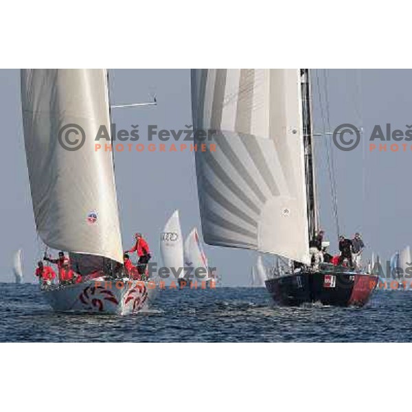 team Maxim Magazin in action during season closing regatta Portoroz-Piran-Savudrija in the final of Slovenian Cup in Portoroz 17.10.2009. Maxim Magazin won the regatta and overall standings 