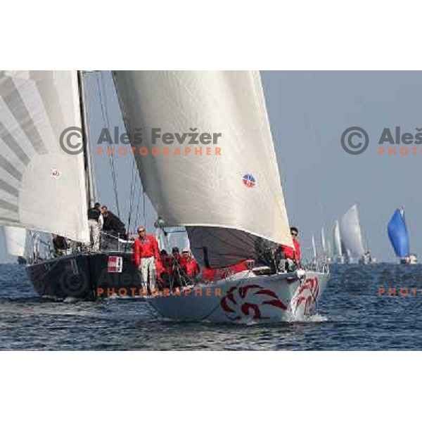 team Maxim Magazin in action during season closing regatta Portoroz-Piran-Savudrija in the final of Slovenian Cup in Portoroz 17.10.2009. Maxim Magazin won the regatta and overall standings 