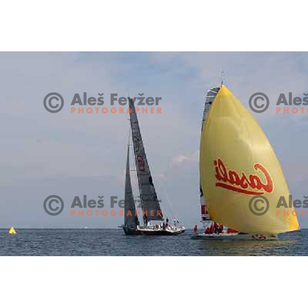 team Maxim Magazin in action during season closing regatta Portoroz-Piran-Savudrija in the final of Slovenian Cup in Portoroz 17.10.2009. Maxim Magazin won the regatta and overall standings 