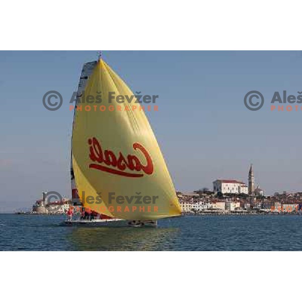 team Maxim Magazin in action during season closing regatta Portoroz-Piran-Savudrija in the final of Slovenian Cup in Portoroz 17.10.2009. Maxim Magazin won the regatta and overall standings 