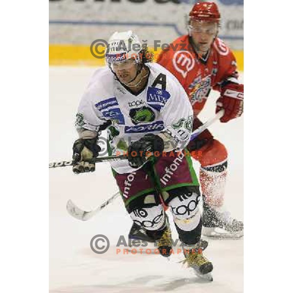 Frank Banham at ice hockey match Acroni Jesenice-Tilia Olimpija in round 14 of Ebel league,played at Podmezakla Hall, Jesenice 16.10.2009. Acroni Jesenice won 7:5 