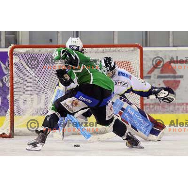 Robert Kristan and Frank Banham during ice-hockey match Tilia Olimpija-Medvescak in round in Ebel league, played in Hala Tivoli, Ljubljana, Slovenia 25.10.2009 
