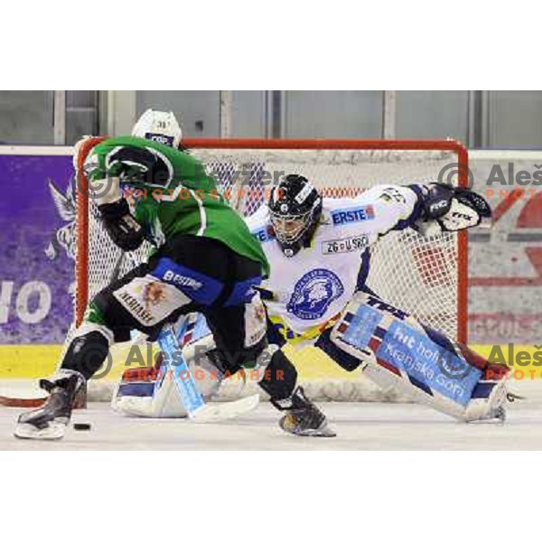 Robert Kristan and Frank Banham during ice-hockey match Tilia Olimpija-Medvescak in round in Ebel league, played in Hala Tivoli, Ljubljana, Slovenia 25.10.2009 