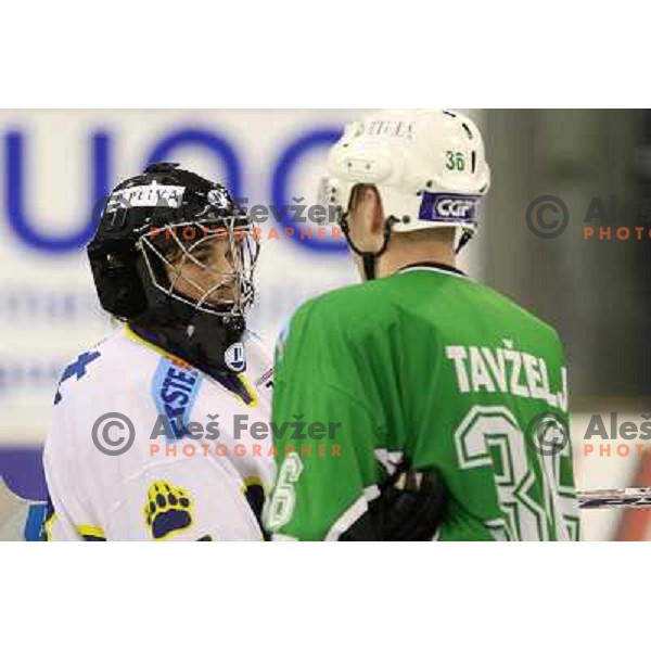 Robert Kristan , Andrej Tavzelj during ice-hockey match Tilia Olimpija-Medvescak in round in Ebel league, played in Hala Tivoli, Ljubljana, Slovenia 25.10.2009 