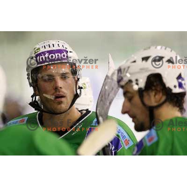 during ice-hockey match Tilia Olimpija-Medvescak in round in Ebel league, played in Hala Tivoli, Ljubljana, Slovenia 25.10.2009 