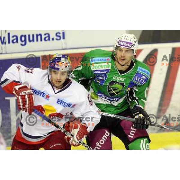 Jurij Golicic in action during ice-hockey match Tilia Olimpija-Red Bull Salzburg in Ebel league, played in Hala Tivoli, Ljubljana, Slovenia 1.10.2009 